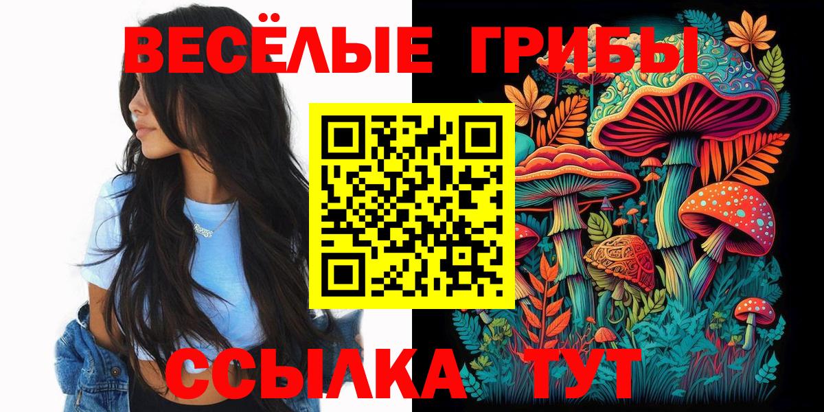 Муравленко  купить наркотики сайты  Вход с VPN  Псилоцибиновые грибы MAGIC MUSHROOMS 