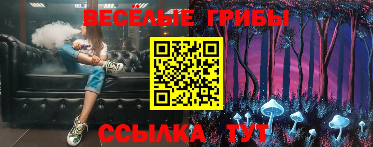 Псилоцибиновые грибы Psilocybine cubensis Муравленко